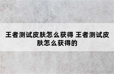 王者测试皮肤怎么获得 王者测试皮肤怎么获得的